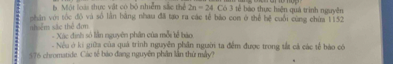 ig bhen ar to nop ? 
b. Một loài thực vật có bộ nhiễm sắc thể 2n=24 Có 3 tế bào thực hiện quá trình nguyên 
phân với tốc độ và số lần bằng nhau đã tạo ra các tế bào con ở thể hệ cuối cùng chứa 1152. nhiểm sắc thể đơn 
- Xác định số lần nguyên phân của mỗi tế bào 
- Nều ở kỉ giữa của quá trình nguyên phân người ta đếm được trong tất cả các tế bào có
576 chromatide. Các tế bào đang nguyên phân lần thứ mầy?