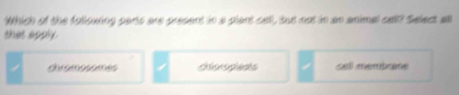 Which of the follokning parts are present tn a plant call, but not in ao animal call? Select all
that apply.
chmomes chioropiests cell membaine