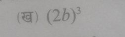 (ख) (2b)^3