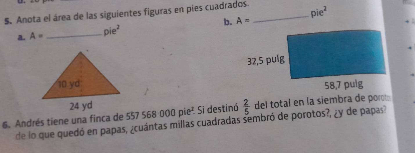 Anota el área de las siguientes figuras en pies cuadrados._ 
b. Aapprox pie^2
a. A= _
pie^2

6. Andrés tiene una finca de 557 568 000 pie² Si destinó  2/5  del total en la siembra de porot 
de lo que quedó en papas, ¿cuántas millas cuadradas sembró de porotos?, ¿y de papas?