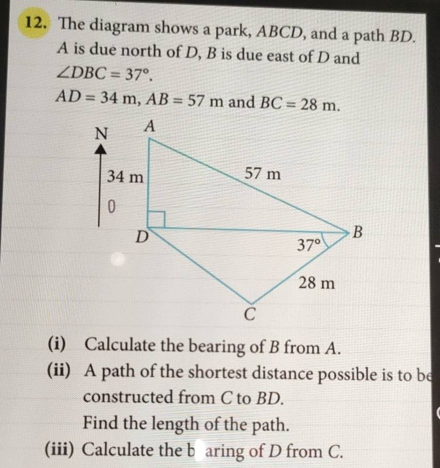 The diagram shows a park, ABCD, and a path BD.
A is due north of D, B is due east of D and
∠ DBC=37°.
AD=34m,AB=57m and BC=28m.
(i) Calculate the bearing of B from A.
(ii) A path of the shortest distance possible is to be
constructed from C to BD.
Find the length of the path.
(iii) Calculate the b aring of D from C.