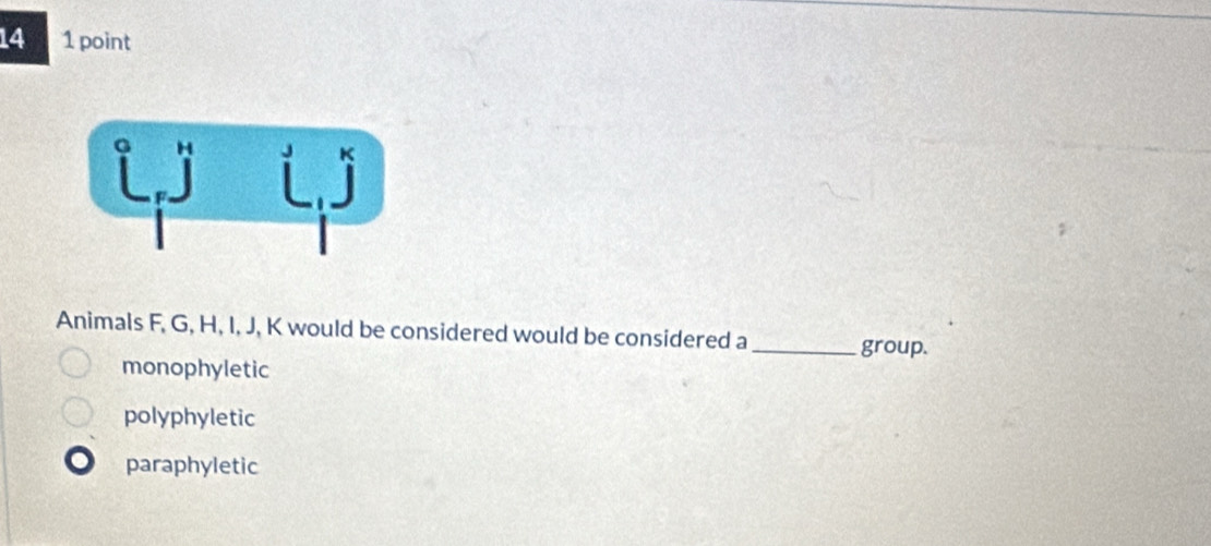 14 1 point
Animals F, G, H, I, J, K would be considered would be considered a_
group.
monophyletic
polyphyletic
paraphyletic