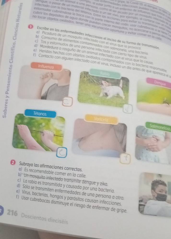 on
us enfermedades infecciasas bueden intratone  
epla, al estar junto a un enferma de influenas que tou o e
4n animal a una persona, como al ser picado por un masquito infeciato de
uengue, o pasar de un material infectado a un ser vivo, por ejemplo, al cartarse con unmar
nfectada con la bactería del tétanos. Entre las acciones para evitar su transmisión están los
estomudar cubriéndose la boca con la parte intema del coda, usar cubrebocas s se tere '.
cubrir los depásitos de agua dande puedan crecer mosquitos, no acercarse a perras descir
no tocar objetos oxidados, tener una vacunación oportuna y evitar comer en la cate
Escribe en las enfermedades infecciosas el inciso de su forma de transmisión
a) Picadura de un mosquito infectado con el virus que la provoca
b) Consumo de alimentos contaminados con salmonela, una bactería.
c) Tos y estorudos de una persona infectada con cierto típo de virus
d) Mordedura o rasguño de un animal infectado con el virus que la causa
e) Heridas hechas con objetos oxidados contaminados con la bactería responsable
f) Contacto con alguien infectado con el virus, incluso un día antes de que aparezca el 
Influenza
Robio
Dangue
Salmoneloss
② Subraya las afirmaciones correctas.
a) Es recomendable comer en la calle.
b)  Un mosquito infectado transmite dengue y zika.
c) La rabia es transmitida y causada por una bacteria.
d) Sólo se transmiten enfermedades de una persona a otra.
e) Virus, bacterias, hongos y parásitos causan infecciones.
f) Usar cubrebocas disminuye el riesgo de enfermar de gripe.
216 Doscientos dieciséis