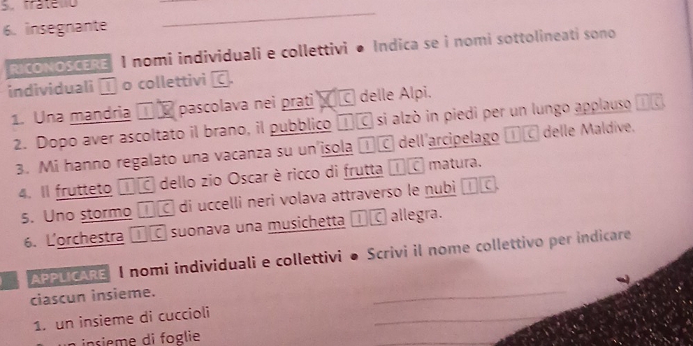 frateuo 
6. insegnante 
_ 
ONOSCERE I nomi individuali e collettivi ● Indica se i nomi sottolineati sono 
individuali ] o collettivi ζ. 
1. Una mandria □¤ pascolava nei prati □ć delle Alpi. 
2. Dopo aver ascoltato il brano, il pubblico πⓒ si alzò in piedi per un lungo applauso 
3. Mi hanno regalato una vacanza su un'isola τ℃ dell'arcipelago T£ delle Maldive. 
4. Il frutteto ①É dello zio Oscar è ricco di frutta ①É matura. 
5. Uno stormo ℃ di uccelli neri volava attraverso le nubi []C. 
6. Lorchestra ①□ suonava una musichetta ①ζ allegra. 
APPLICARE I nomi individuali e collettivi ● Scrivi il nome collettivo per indicare 
ciascun insieme. 
_ 
1. un insieme di cuccioli 
_ 
insieme di foglie