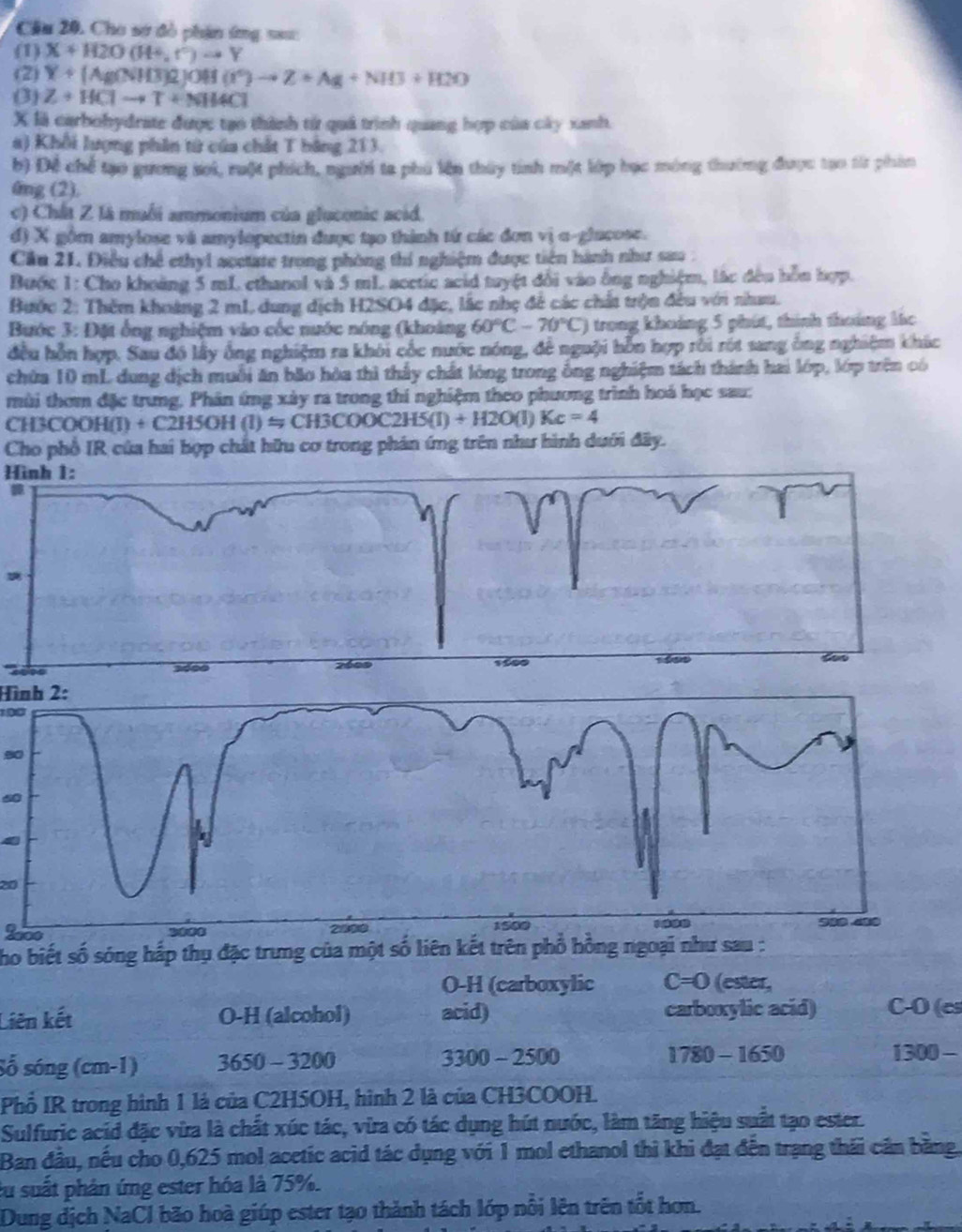 Cầu 20. Cho sơ đồ phân ứng sau
(1) X+H2O(H+,r°)to Y
(2) Y+(Ag(NH3)2)OH(r^2)to Z+Ag+NH3+H2O
(3) Z+HClto T+NH4Cl
X là carbohydrate được tạo thành từ quả trình quang hợp của cây xanh.
a) Khổi lượng phin từ của chất T bằng 213.
b) Đề chế tạo gương sơi, ruột phích, người ta phú lên thúy tính một lớp học mông thường được tạo từr phâm
fng (2).
c) Chất Z là muối ammonium của gluconic acid.
đ) X gồm amylose và amylopectin được tạo thành tứ các đơn vị α-glacose.
Cầu 21. Điều chế ethyl acetate trong phòng thi nghiệm được tiên hành như sao :
Bước 1: Cho khoảng 5 mL ethanol và 5 mL acetic acid tuyệt đổi vào ông nghiệm, lắc đều hồn hợp.
Bước 2: Thêm khoảng 2 m1, dung dịch H2SO4 đặc, lắc nhẹ để các chất trận đều với nhưm.
Bước 3: Đặt ống nghiệm vào cốc nước nóng (khoảng 60°C-70°C) trong khoảng 5 phút, thính thoáng lc
đều hỗn hợp. Sau đồ lấy ông nghiệm ra khôi cốc nước nóng, đề nguội hỗn hợp rồi rót sang ông nghiệm khúc
chừa 10 mL dung dịch muỗi ăn bão hòa thì thấy chất lóng trong ống nghiệm tách thành hai lớp, lớp trên có
mùi thơm đặc trưng. Phân ứng xày ra trong thi nghiệm theo phương trình hoá học sau:
CH3CO )H(1)+C2H5OH(1)approx CH3COOC2H5(I)+H2O(I)Kc=4
Cho phổ IR của hai hợp chất hữu cơ trong phản ứng trên như hình dưới đãy.
Hình 1:
Hình 2:
 
60
20
200
ho biết số sóng hắp thụ đặc trưng của một số liên kết trên phố hồng ngoại như sau :
O-H (carboxylic C=0 (ester,
Liên kết O-H (alcohol) acid) carboxylic acid) C-O (es
330
Số sóng (cm-1) 3650 - 3200 0 - -2500
1780-1650
1300-
Phổ IR trong hình 1 là của C2H5OH, hình 2 là của CH3COOH.
Sulfuric acid đặc vừa là chất xúc tác, vừa có tác dụng hút nước, làm tăng hiệu suất tạo ester.
Ban đầu, nếu cho 0,625 mol acetic acid tác dụng với 1 mol ethanol thì khi đạt đến trạng thái cần bằng.
su suất phản ứng ester hóa là 75%.
Dung dịch NaCl bão hoà giúp ester tạo thành tách lớp nổi lên trên tốt hơn.