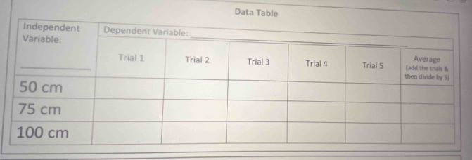 Data Table