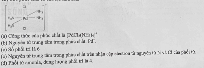 Công thức của phức chất là [PdCl_2(NH_3)_4]^+.
(b) Nguyên tử trung tâm trong phức chất: Pd^+.
(c) Số phối trí là 6
(c) Nguyên tử trung tâm trong phức chất trên nhận cặp electron từ nguyên tử N và Cl của phối tử.
(d) Phối tử amonia, dung lượng phối trí là 4.