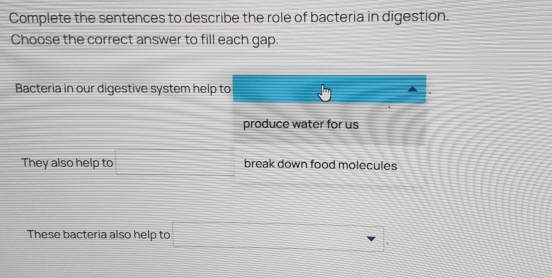 Complete the sentences to describe the role of bacteria in digestion. 
Choose the correct answer to fill each gap. 
Bacteria in our digestive system help to 
produce water for us 
They also help to □ break down food molecules 
These bacteria also help to □.