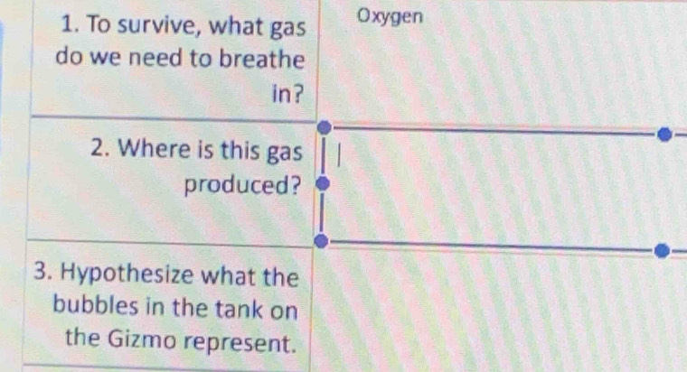 To survive, what gas Oxygen 
do we need to breathe 
in? 
2. Where is this gas 
produced? 
3. Hypothesize what the 
bubbles in the tank on 
the Gizmo represent.