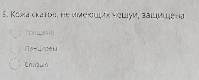 Кожа скатов, не имеюших чешуи, зашишена
Χρяιами
Панцирем
Слизыю