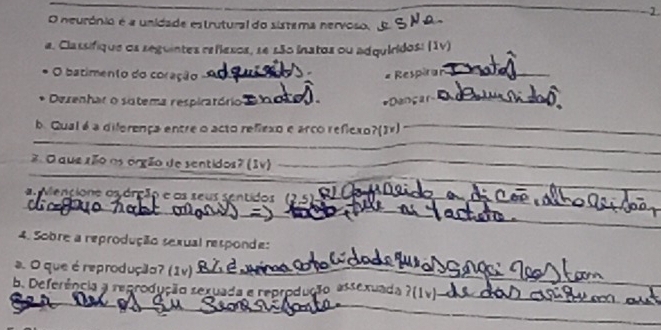 neurónio é a unidade estrutural do sistema nervoso, d 
a. Classifique os seguintes re flexos, se 1ão inatos ou adquiridos: (1v) 
O batimento do coração 
= Respiran_ 
Dezenhar o sitema respiratório *Dança_ 
_ 
_ 
b. Qual é a diferença entre o acto refiexo e arco reflexo?(3४)_ 
_ 
3 O que aão os orgão de sentidos? (Iv)_ 
__ 
a Mencione osdrção e os seus sentidos (2,5)_ 
_ 
_ 
_ 
4. Sobre a reprodução sexual responde: 
a. O que é reprodução? (1v)_ 
_ 
b. Deferência a reprodução sexuada e reprodução assexuada ?(1v)-_ 
_