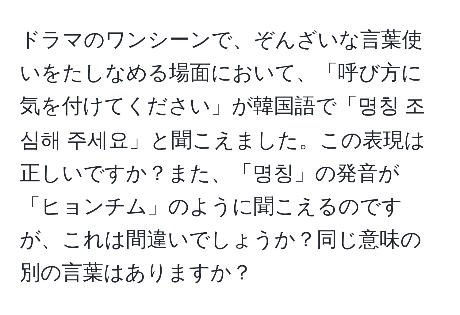 ドラマのワンシーンで、ぞんざいな言葉使いをたしなめる場面において、「呼び方に気を付けてください」が韓国語で「명칭 조심해 주세요」と聞こえました。この表現は正しいですか？また、「명칭」の発音が「ヒョンチム」のように聞こえるのですが、これは間違いでしょうか？同じ意味の別の言葉はありますか？