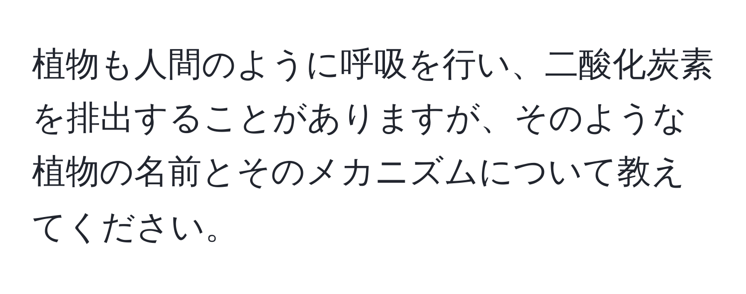 植物も人間のように呼吸を行い、二酸化炭素を排出することがありますが、そのような植物の名前とそのメカニズムについて教えてください。