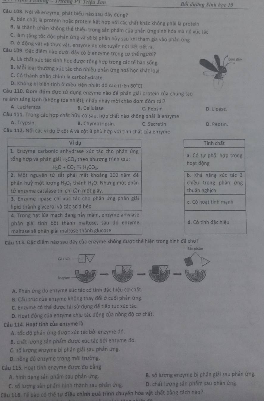 Phương - Trương PT Triệu Sơn Bồi dưỡng Sinh hạc 10
Câu 108. Nói về enzyme, phát biểu nào sau đây đúng?
A. bản chất là protein hoặc protein kết hợp với các chất khác không phải là protein
B. là thành phần không thế thiếu trong sản phẩm của phản ứng sinh hóa mà nó xúc tác
C. làm tăng tốc độc phản ứng và sẽ bị phân hủy sau khi tham gia vào phản ứng
D. ở động vật và thực vật, enzyme do các tuyển nội tiết tiết ra.
Câu 109. Đặc điểm nào dưới đây có ở enzyme trong cơ thế người?
A. Là chất xúc tác sinh học được tổng hợp trong các tế bào sống. Dam đám
B. Mỗi loại thường xúc tác cho nhiều phản ứng hoá học khác loại.
C. Có thành phần chính là carbohydrate.
D. Không bị biến tính ở điều kiện nhiệt độ cao (trên 80°C).
Câu 110. Đom đóm đực sử dụng enzyme nào đế phân giải protein của chúng tạo
ra ánh sáng lạnh (không tỏa nhiệt), nhấp nháy mời chào đom đóm cái?
A. Luciferaza B. Cellulase C. Pepsin D. Lipase.
Câu 111. Trong các hợp chất hữu cơ sau, hợp chất nào không phải là enzyme
A. Trypsin. B. Chymotripsin. C. Secretin D. Pepsin.
Câu 112. Nối các vi dụ ở cột A và cột B phù hợp với tính chất của enzyme
Tính chất
a. Có sự phối hợp trong
hoạt động
b. Khá năng xúc tác 2
chiều trong phản ứng
thuận nghịch
c. Có hoạt tính mạnh
d. Có tỉnh đặc hiệu
Cầu 113. Đặc điểm nào sau đây của enzyme không được thế hiện trong hình đã cho?
Sâu phẩm
A. Phản ứng do enzyme xúc tác có tính đặc hiệu cơ chất.
B. Cấu trúc của enzyme không thay đối ở cuối phản ứng.
C. Enzyme có thế được tái sử dụng đế tiếp tục xúc tác.
D. Hoạt động của enzyme chịu tác động của nồng độ cơ chất.
Câu 114. Hoạt tính của enzyme là
A. tốc độ phản ứng được xúc tác bởi enzyme đó.
B. chất lượng sản phẩm được xúc tác bởi enzyme đó.
C. số lượng enzyme bị phân giải sau phản ứng.
D. nồng độ enzyme trong môi trường.
Câu 115. Hoạt tỉnh enzyme được đo bằng
A. hình dạng sản phẩm sau phản ứng. B. số lượng enzyme bị phân giải sau phản ứng.
C. số lượng sản phẩm hình thành sau phản ứng. D. chất lượng sản phẩm sau phản ứng.
Câu 116. Tế bào có thế tự điều chỉnh quá trình chuyên hóa vật chất bằng cách nào?