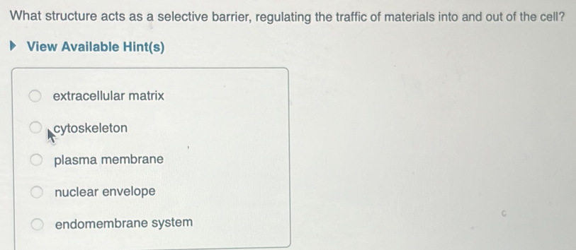 What structure acts as a selective barrier, regulating the traffic of materials into and out of the cell?
View Available Hint(s)
extracellular matrix
cytoskeleton
plasma membrane
nuclear envelope
endomembrane system