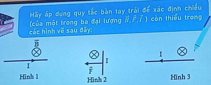 Hãy áp dụng quy tắc bàn tay trái để xác định chiều 
của một trong ba đại lượng vector B, vector F,vector I) còn thiếu trong 
các hình vẽ sau đây:
frac 1/2 frac overline B encl
1 
I
frac  8overline 
Hình 1 Hình 3 
Hình 2