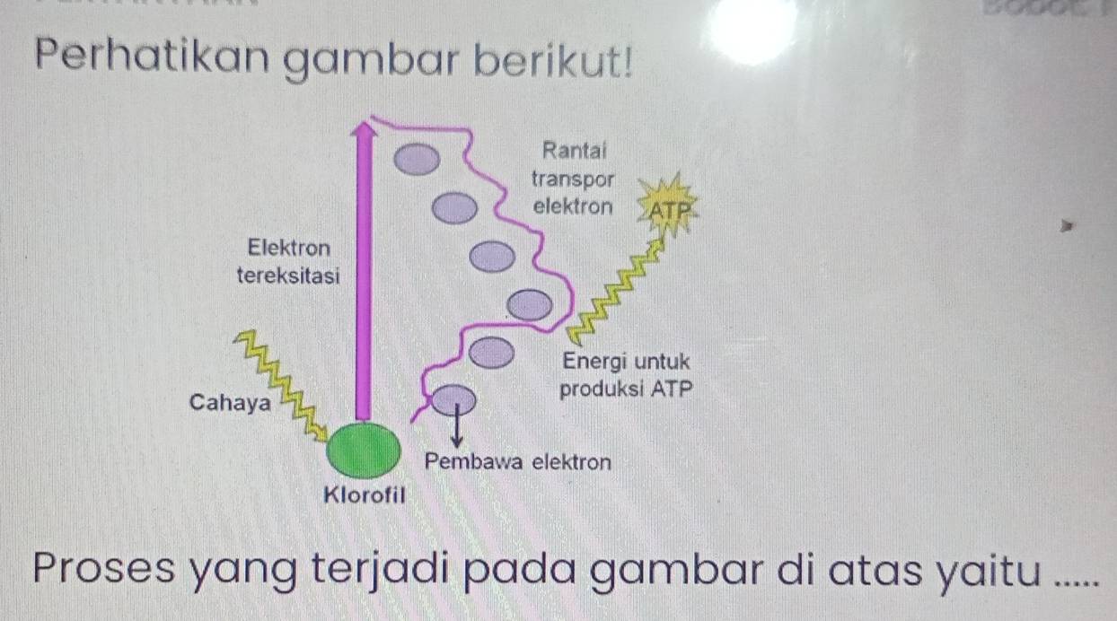 Perhatikan gambar berikut! 
Proses yang terjadi pada gambar di atas yaitu .....