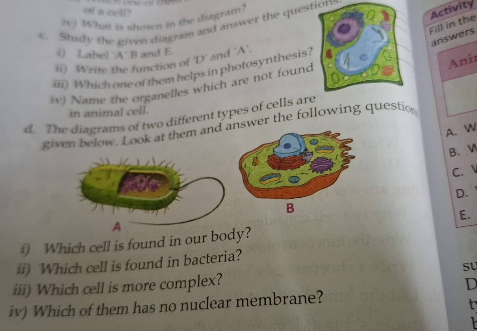 of a cell? 
W) What is shown in the diagram? 
Fill in the Activity 
c. Study the given diagram and answer the questions 
answers 
i) Label 'A' B and E. 
ii) Write the function of D' 
and ' A '. 
Anir 
iii) Which one of them helps in photosynthesis? 
w) Name the organelles which are not found 
in animal cell. 
d. The diagrams of two different types of cells are 
given below. Look at them and swer the following question 
A. W 
B. W 
C. 
D. 
E. 
i) Which cell is found in our by? 
ii) Which cell is found in bacteria? 
SU 
iii) Which cell is more complex? 
D 
iv) Which of them has no nuclear membrane? 
t