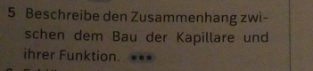 Beschreibe den Zusammenhang zwi- 
schen dem Bau der Kapillare und 
ihrer Funktion.