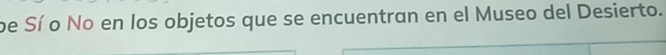 be Sí o No en los objetos que se encuentran en el Museo del Desierto.