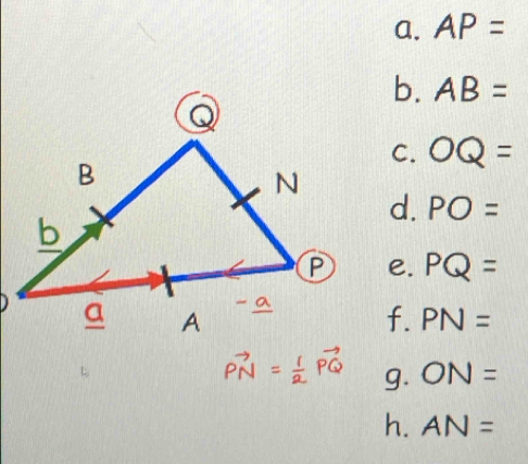 AP=
b. AB=
C. OQ=
d. PO=
e. PQ=
f. PN=
g. ON=
h. AN=