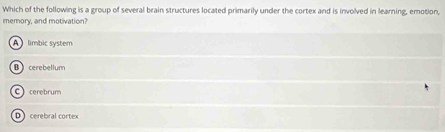 Which of the following is a group of several brain structures located primarily under the cortex and is involved in learning, emotion,
memory, and motivation?
A limbic system
Bcerebellum
C cerebrum
D cerebral cortex