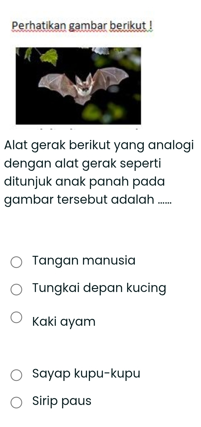 Perhatikan gambar berikut !
Alat gerak berikut yang analogi
dengan alat gerak seperti
ditunjuk anak panah pada
gambar tersebut adalah .....
Tangan manusia
Tungkai depan kucing
Kaki ayam
Sayap kupu-kupu
Sirip paus