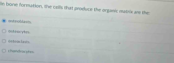 In bone formation, the cells that produce the organic matrix are the:
osteoblasts.
osteocytes.
osteoclasts
chandrocytes.