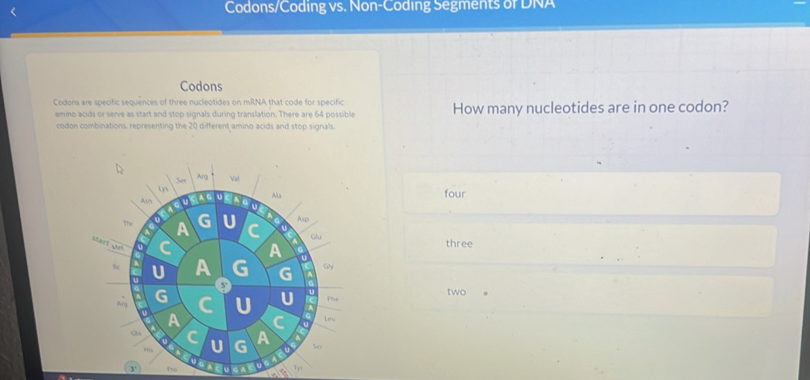 Solved: Codons/Coding vs. Non-Coding Segments of DNA Codons Codons are ...