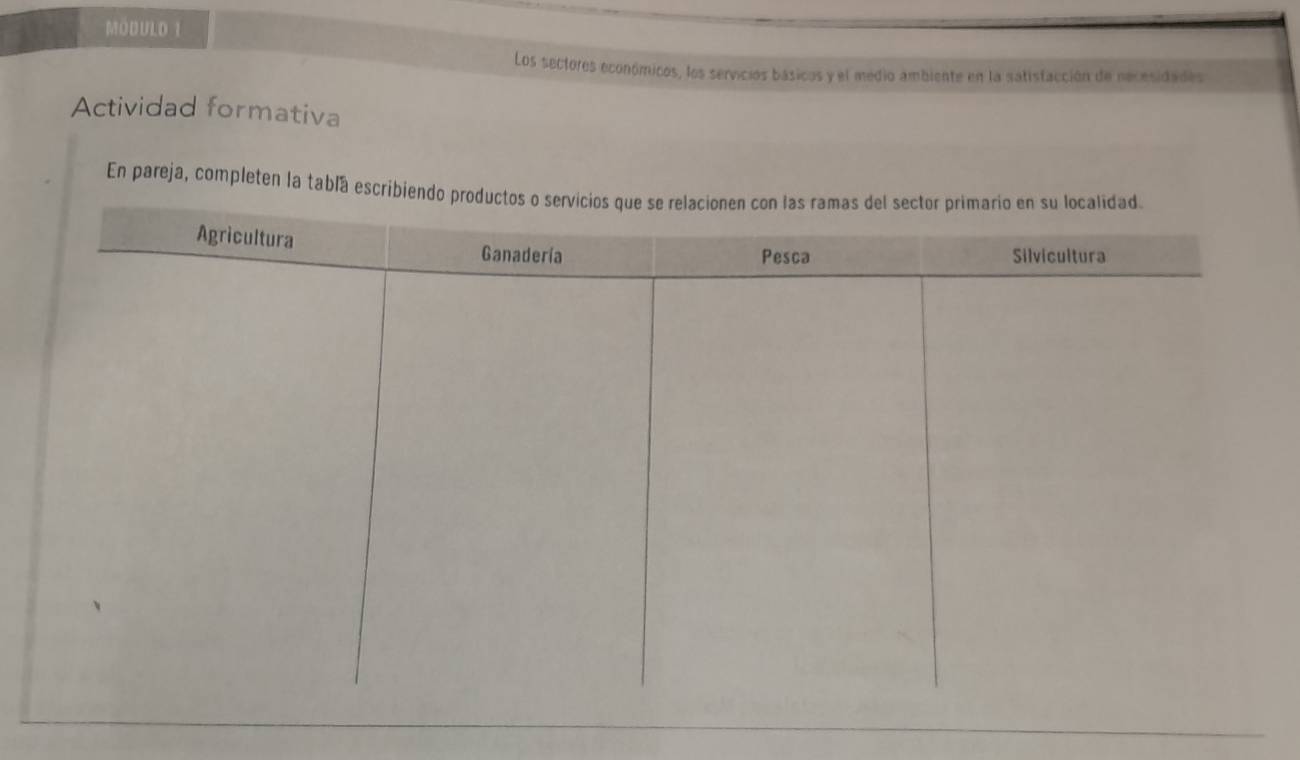 MODULD I 
Los sectores económicos, los servicios básicos y el medio ambiente en la satistacción de necesidades 
Actividad formativa 
En pareja, completen la tabla escribiend