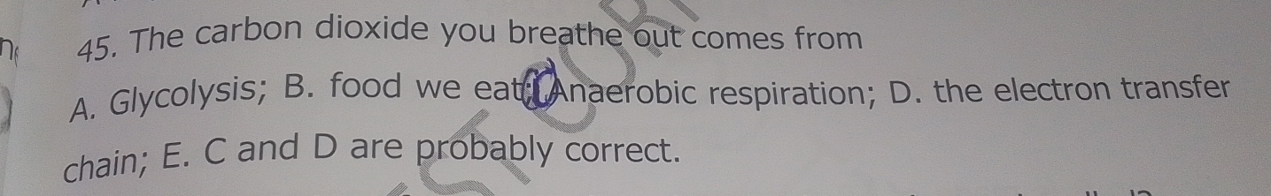 1s
45. The carbon dioxide you breathe out comes from
A. Glycolysis; B. food we eat; Anaerobic respiration; D. the electron transfer
chain; E. C and D are probably correct.