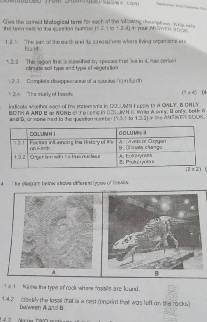 mmbdded Trom Stanmqee pane hs . com Deptornber 2023 Cemecón Tése
Give the correct biological term for each of the following descriptions. Write only
the term next to the question number (1.2.1 to 1.2.4) in your ANSWER BO0K
1.2.1 The part of the earth and its atmosphere where living organisms are
found
1.2.2 The region that is classified by species that live in it, has certain
climate soil type and type of vegetation
1.2.3 Complete disappearance of a species from Earth
1.2.4 The study of fossils (1* 4) (4
Indicate whether each of the statements in COLUMN I apply to A ONLY, B ONLY,
BOTH A AND B or NONE of the items in COLUMN II. Write A only, B only, both A
and B, or none next to the question number (1.3.1 to 1.3.2) in the ANSWER BOOK.
4 The diagram below shows different types of fossils.
1.4.1 Name the type of rock where fossils are found.
1.4.2 Identify the fossil that is a cast (imprint that was left on the rocks)
between A and B.
1  4 3 Name TWO