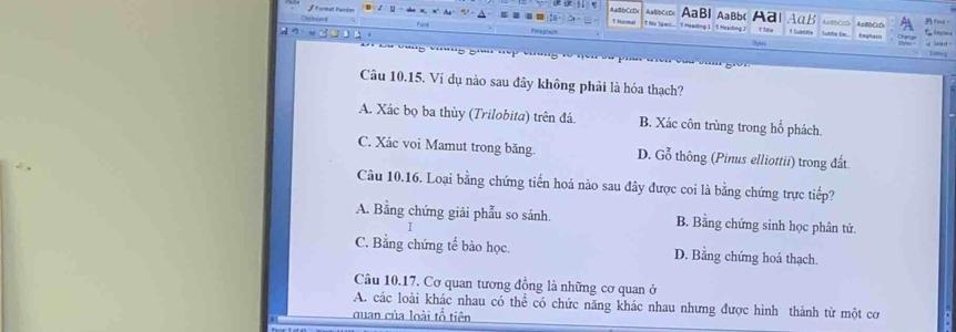 AaBbCcDc AaBl AaBb( Aal AαB AaBbCrD 
Chplosard Pirt
t No Sgari 1 Heading 1 1 Heading 2 t tou Mothe Late Em ae
Salart . Loneg
Câu 10.15. Ví dụ nào sau đây không phải là hóa thạch?
A. Xác bọ ba thùy (Trilobita) trên đá. B. Xác côn trùng trong hổ phách.
C. Xác voi Mamut trong băng. D. Gỗ thông (Pinus elliottii) trong đất
Câu 10.16. Loại bằng chứng tiến hoá nào sau đây được coi là bằng chứng trực tiếp?
A. Bằng chứng giải phẫu so sánh. B. Bằng chứng sinh học phân tử.
1
C. Bằng chứng tế bảo học. D. Bằng chứng hoá thạch.
Câu 10.17. Cơ quan tương đồng là những cơ quan ở
A. các loài khác nhau có thể có chức năng khác nhau nhưng được hình thành từ một cơ
quan của loài tổ tiên