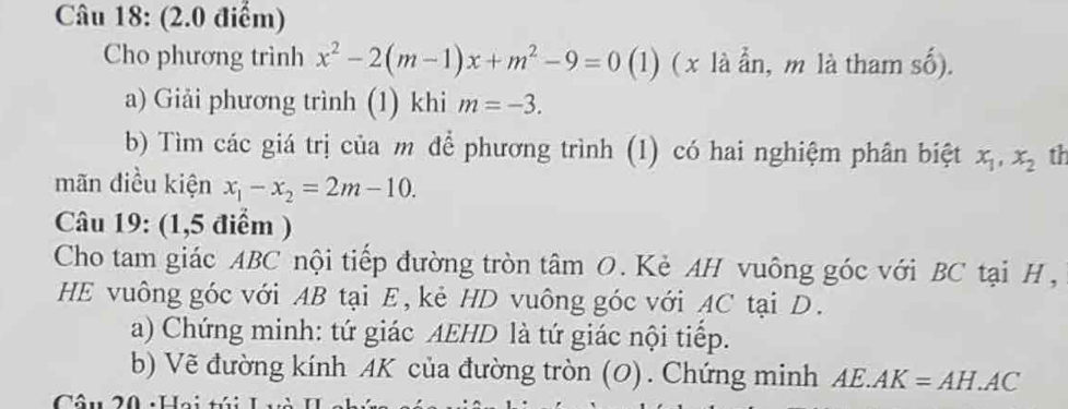 Cho phương trình x^2-2(m-1)x+m^2-9=0 (1) ( x là ẩn, m là tham số). 
a) Giải phương trình (1) khi m=-3. 
b) Tìm các giá trị của m để phương trình (1) có hai nghiệm phân biệt x_1, x_2 th 
mãn điều kiện x_1-x_2=2m-10. 
Câu 19: (1,5 điểm ) 
Cho tam giác ABC nội tiếp đường tròn tâm O. Kẻ AH vuông góc với BC tại H , 
HE vuông góc với AB tại E, kẻ HD vuông góc với AC tại D. 
a) Chứng minh: tứ giác AEHD là tứ giác nội tiếp. 
b) Vẽ đường kính AK của đường tròn (0). Chứng minh AE.AK=AH.AC
Câu 20 :Hai túi Hưi