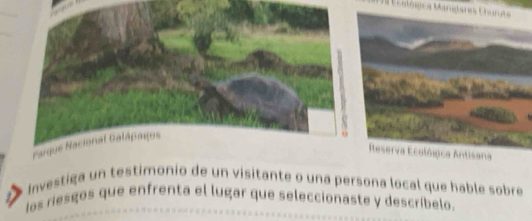 Eosógca Manstares Churuta 
Parque Nacional Galápagos 
Investiga un testimonio de un visitante o una persona local que hable sobre 
los riesgos que enfrenta el lugar que seleccionaste y descríbelo.