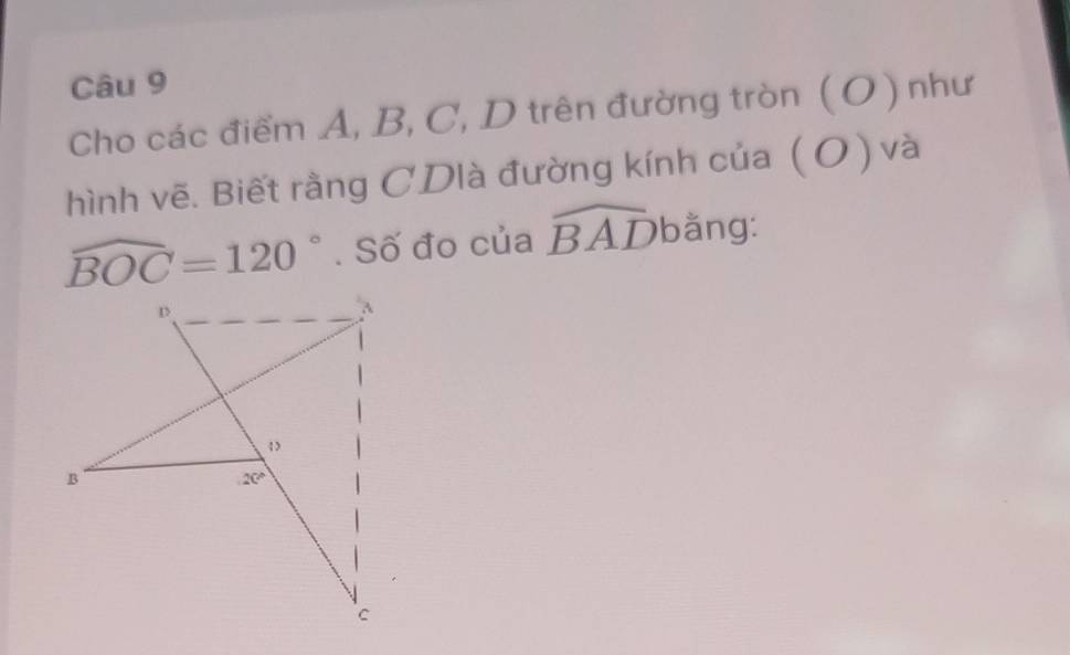 Cho các điểm A, B, C, D trên đường tròn ( O ) như
hình vẽ. Biết rằng CDlà đường kính của ( O) và
widehat BOC=120°. Số đo của widehat BAD bằng: