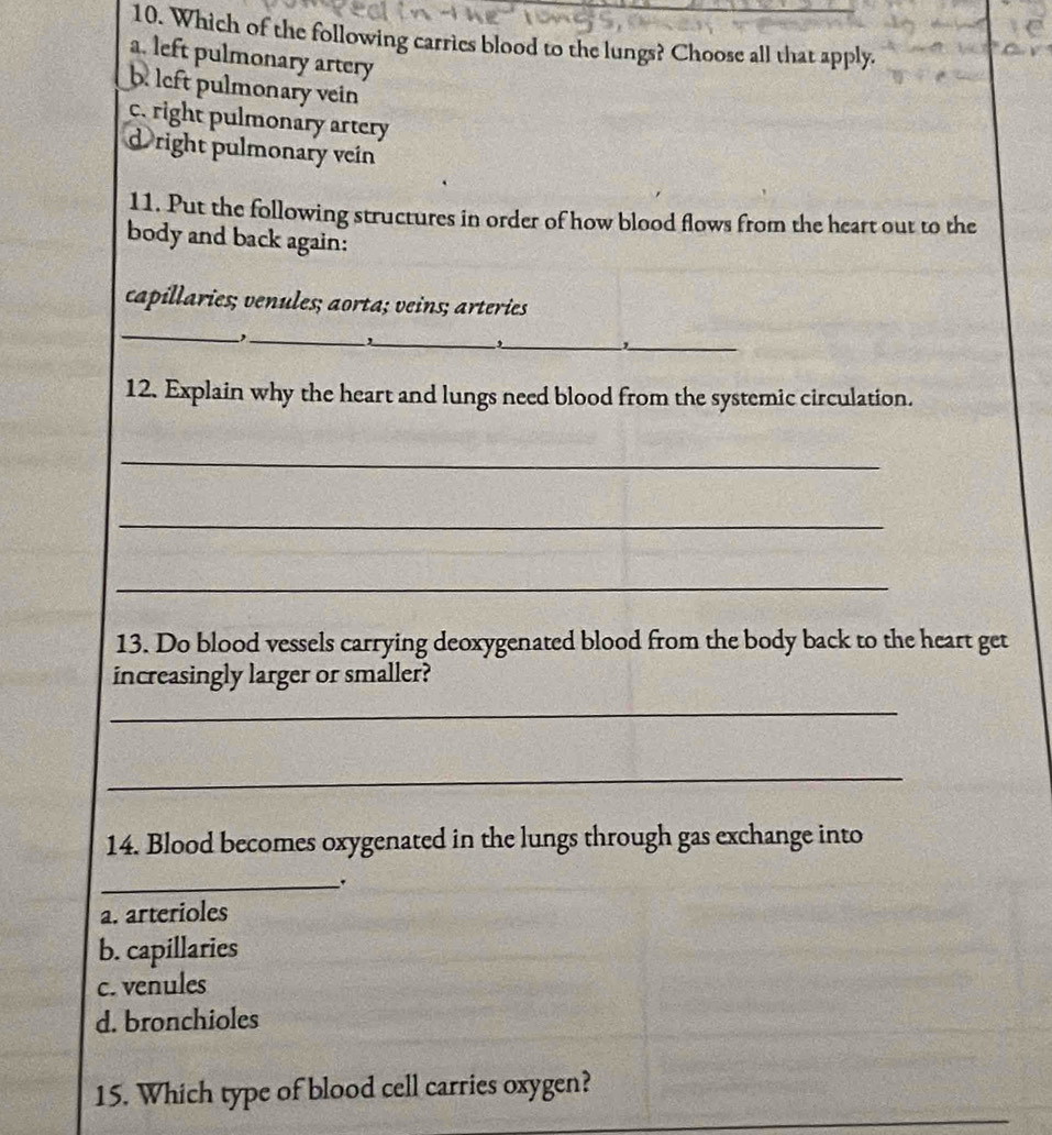 Which of the following carries blood to the lungs? Choose all that apply.
a. left pulmonary artery
b left pulmonary vein
c. right pulmonary artery
d right pulmonary vein
11. Put the following structures in order of how blood flows from the heart out to the
body and back again:
capillaries; venules; aorta; veins; arteries
_
_
_'
_t _
12. Explain why the heart and lungs need blood from the systemic circulation.
_
_
_
13. Do blood vessels carrying deoxygenated blood from the body back to the heart get
increasingly larger or smaller?
_
_
14. Blood becomes oxygenated in the lungs through gas exchange into
_.
a. arterioles
b. capillaries
c. venules
d. bronchioles
15. Which type of blood cell carries oxygen?