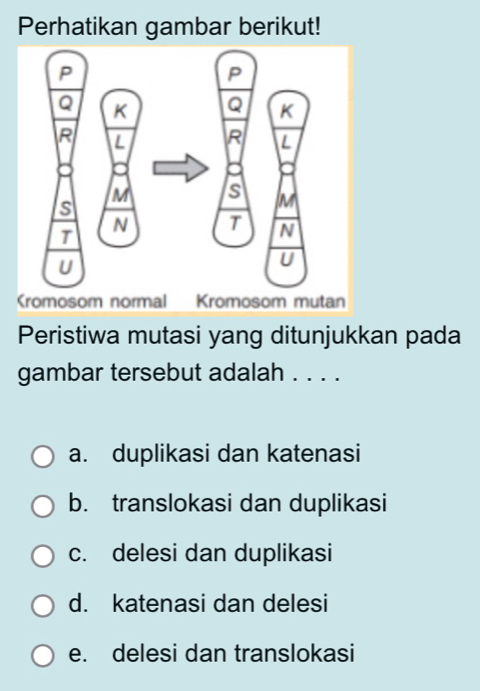 Perhatikan gambar berikut!
Peristiwa mutasi yang ditunjukkan pada
gambar tersebut adalah . . . .
a. duplikasi dan katenasi
b. translokasi dan duplikasi
c. delesi dan duplikasi
d. katenasi dan delesi
e. delesi dan translokasi