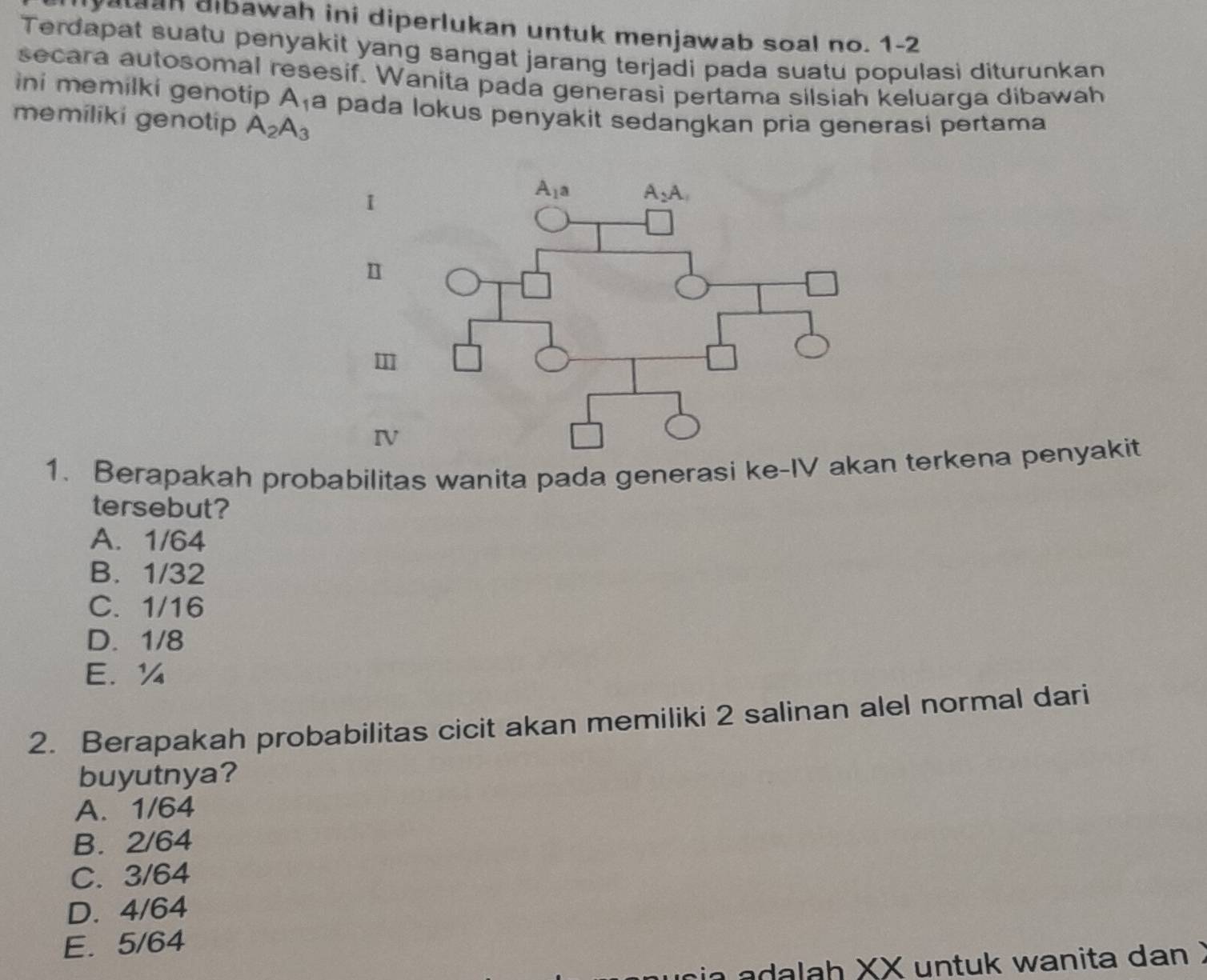 yataan albawah ini diperlukan untuk menjawab soal no. 1-2
Terdapat suatu penyakit yang sangat jarang terjadi pada suatu populasi diturunkan
secara autosomal resesif. Wanita pada generasi pertama silsiah keluarga dibawah
ini memilki genotip A_1 a pada lokus penyakit sedangkan pria generasi pertama 
memiliki genotip A_2A_3
I
n
m
IV
1. Berapakah probabilitas wanita pada generasi ke-IV akan terkena penyakit
tersebut?
A. 1/64
B. 1/32
C. 1/16
D. 1/8
E.¼
2. Berapakah probabilitas cicit akan memiliki 2 salinan alel normal dari
buyutnya?
A. 1/64
B. 2/64
C. 3/64
D. 4/64
E. 5/64
adalah XX untuk wanita dan  )