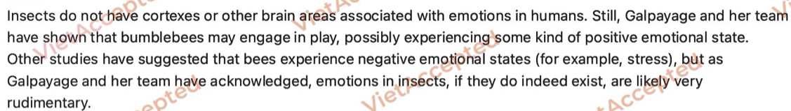 Insects do not have cortexes or other brain areas associated with emotions in humans. Still, Galpayage and her team 
have shown that bumblebees may engage in play, possibly experiencing some kind of positive emotional state. 
Other studies have suggested that bees experience negative emotional states (for example, stress), but as 
Galpayage and her team have acknowledged, emotions in insects, if they do indeed exist, are likely very 
rudimentary.