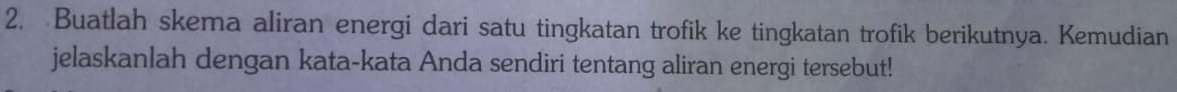 Buatlah skema aliran energi dari satu tingkatan trofik ke tingkatan trofik berikutnya. Kemudian 
jelaskanlah dengan kata-kata Anda sendiri tentang aliran energi tersebut!