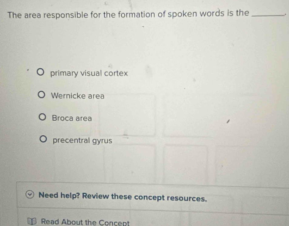 The area responsible for the formation of spoken words is the_
.
primary visual cortex
Wernicke area
Broca area
precentral gyrus
Need help? Review these concept resources.
Read About the Concept