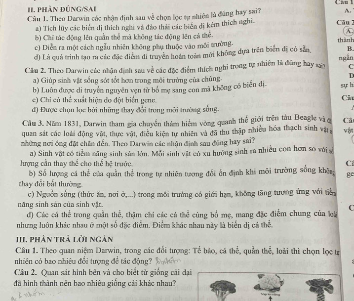 phÀN ĐÚNG/SAI Câu 1
Câu 1. Theo Darwin các nhận định sau về chọn lọc tự nhiên là đúng hay sai? A.
a) Tích lũy các biển dị thích nghi và đảo thải các biển dị kém thích nghi.  Câu 2
b) Chỉ tác động lên quần thể mà không tác động lên cá thể.
A.
c) Diễn ra một cách ngẫu nhiên không phụ thuộc vào môi trường. thành
d) Là quá trình tạo ra các đặc điểm di truyền hoàn toàn mới không dựa trên biến dị có sẵn. B.
ngắn
Câu 2. Theo Darwin các nhận định sau về các đặc điểm thích nghi trong tự nhiên là đúng hay sai? C
D
a) Giúp sinh vật sống sót tốt hơn trong môi trường của chúng. sự h
b) Luôn được di truyền nguyên vẹn từ bố mẹ sang con mà không có biến dị.
c) Chi có thể xuất hiện do đột biển gene. Câu
d) Được chọn lọc bởi những thay đổi trong môi trường sống.
Câu 3. Năm 1831, Darwin tham gia chuyến thám hiểm vòng quanh thế giới trên tàu Beagle và Câ
quan sát các loài động vật, thực vật, điều kiện tự nhiên và đã thu thập nhiều hóa thạch sinh vật vật
những nơi ông đặt chân đến. Theo Darwin các nhận định sau đúng hay sai?
a) Sinh vật có tiềm năng sinh sản lớn. Mỗi sinh vật có xu hướng sinh ra nhiều con hơn so với à
lượng cần thay thế cho thế hệ trước. C
b) Số lượng cá thể của quần thể trong tự nhiên tương đối ổn định khi môi trường sống không ge
thay đổi bất thường.
c) Nguồn sống (thức ăn, nơi ở,...) trong môi trường có giới hạn, không tăng tương ứng với tiểm
năng sinh sản của sinh vật.
C
d) Các cá thể trong quần thể, thậm chí các cá thể cùng bố mẹ, mang đặc điểm chung của loài
nhưng luôn khác nhau ở một số đặc điểm. Điểm khác nhau này là biển dị cá thể.
III. PHÀN TRẢ LỜI ngÁN
Câu 1. Theo quan niệm Darwin, trong các đối tượng: Tế bào, cá thể, quần thể, loài thì chọn lọc tự
nhiên có bao nhiêu đổi tượng để tác động?
Câu 2. Quan sát hình bên và cho biết từ giống cải dại
đã hình thành nên bao nhiêu giống cải khác nhau?