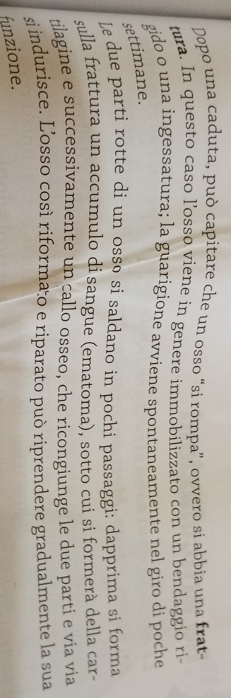 Dopo una caduta, può capitare che un osso “si rompa”, ovvero si abbia una frat- 
tura. In questo caso l’osso viene in genere immobilizzato con un bendaggio ri 
gido o una ingessatura; la guarigione avviene spontaneamente nel giro di poche 
settimane. 
Le due parti rotte di un ossø si saldano in pochi passaggi: dapprima si forma 
sulla frattura un accumulo di sangue (ematoma), sotto cui si formerà della car 
tilagine e successivamente un callo osseo, che ricongiunge le due parti e via via 
si indurisce. L’osso cosí riformaão e riparato può riprendere gradualmente la sua 
funzione.