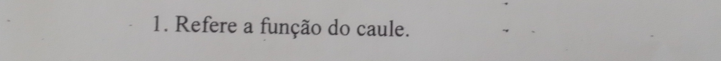 Refere a função do caule.