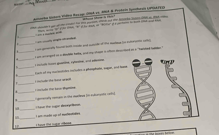 Name: 
_ 
Amoeba Sisters Video Recap: DNA vs. RNA & Protein Synthesis UPDATED 
Whose Show Is This? 
DNA shouldn't get all the credit! For this portion, check out the Amoeba Sisters DNA vs. RNA video. 
1_ I am a nucleic acid. Then, write "D" if for DNA, “R” if for RNA, or "BOTH" if it pertains to both DNA and RNA. 
2. I am usually single-stranded. 
3.__ I am generally found both inside and outside of the nucIeus [in eukaryotic cells]. 
_ 
I am arranged as a double helix, and my shape is often described as a “twisted ladder.” 
4. 
5. I include bases guanine, cytosine, and adenine. 
6.__ Each of my nucleotides includes a phosphate, sugar, and base. 
7._ I include the base uracil. 
8._ I include the base thymine. 
9._ I generally remain in the nucleus [in eukaryotic cells]. 
10._ I have the sugar deoxyribose. 
11._ 
I am made up of nucleotides. 
12. _I have the sugar ribose. 
ion in the boxes below.