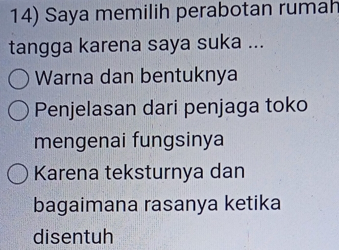 Saya memilih perabotan rumah 
tangga karena saya suka ... 
Warna dan bentuknya 
Penjelasan dari penjaga toko 
mengenai fungsinya 
Karena teksturnya dan 
bagaimana rasanya ketika 
disentuh