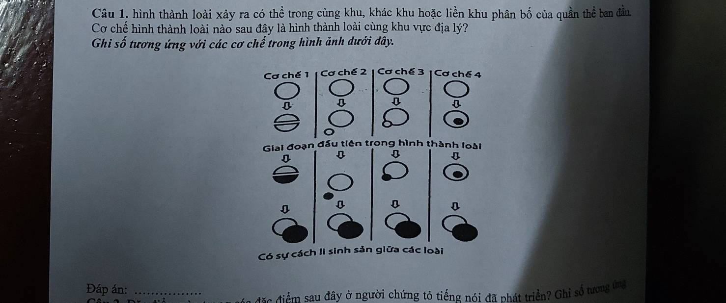 Câu 1, hình thành loài xảy ra có thể trong cùng khu, khác khu hoặc liền khu phân bố của quần thể ban đầu. 
Cơ chế hình thành loài nào sau đây là hình thành loài cùng khu vực địa lý? 
Ghi số tương ứng với các cơ chế trong hình ảnh dưới đây. 
Giai đoạn đầu tiên trong hình thành loà 
Có sự cách li sinh sản giữa các loài 
Đáp án:_ 
đ * o điểm sau đây ở người chứng tỏ tiếng nói đã phát triển? Ghỉ số tương ứng