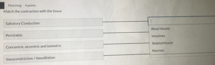 Matching 4 points
Match the contraction with the tissue
Saltatory Conduction
Blood Vessels
Peristalsis Intestines
Concentric, eccentric and isometric Skeletal Muscle
Neurons
Vasoconstriction / Vasodilation