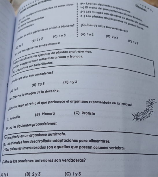 KHra naciónal estana 
Liêncas
1 ) E l moh a del a pertenece a rein o ois
L Lé o los siguientes ejemplos de seres vivos 84- Lea las siguientes proposiciones:
2-) Los musgos son ejemplos de plantas sin semilias
Velgas Verdeazuladas
3-) Las plantas anglospermas no poseen fores
Profozoáríos Becterías
Quáles de ellos pertenecen al Reino Monerd: ¿Cuáles de ellas son verdaderas?
(B) 2y3
(C) 1 y3 (A) 1 y2 (B) 2y3
(C) 1y3
(4) 1y2
1 5- Lea las siguientes proposiciones:
-) Las orquídeas son ejemplos de plantas angiospermas
(-) Los musgos crecen adherídos a rocas y troncos.
() Las plantas son heterótrofas.
Cuáles de ellas son verdaderas?
(B) 2 y 3 (C) 1 y 3
(A) 1y2
I Observe la imagen de la derecha:
¿Cómo se llama el reino al que pertenece el organismo representado en la imagen?
(B) Monera (C) Protista
(A) Animalia
β - Lea las siguientes proposiciones:
-) Una planta es un organismo autótrofo.
-) Los animales han desarrollado adaptaciones para alimentarse.
3-) Los animales invertebrados son aquellos que poseen columna vertebral.
¡Cuáles de las oraciones anteriores son verdaderas?
(A) 1y2 (B) 2 y 3 (C) 1y3